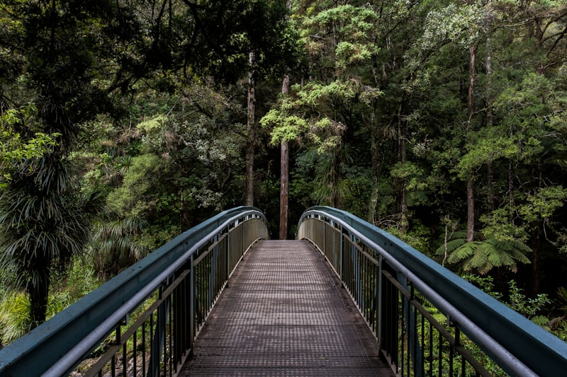 Passerelle au-dessus de la rivière